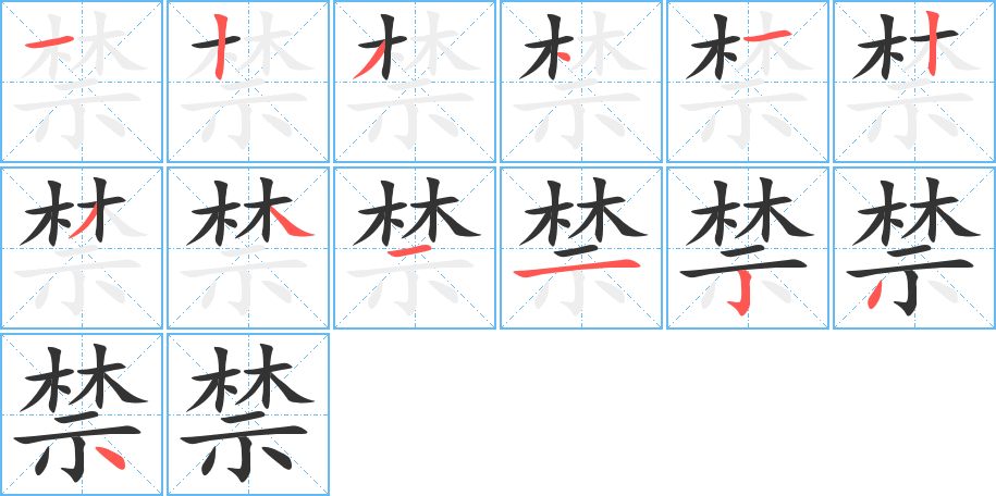 禁字的笔顺分布演示