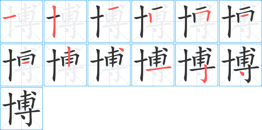 博字的笔顺分布演示