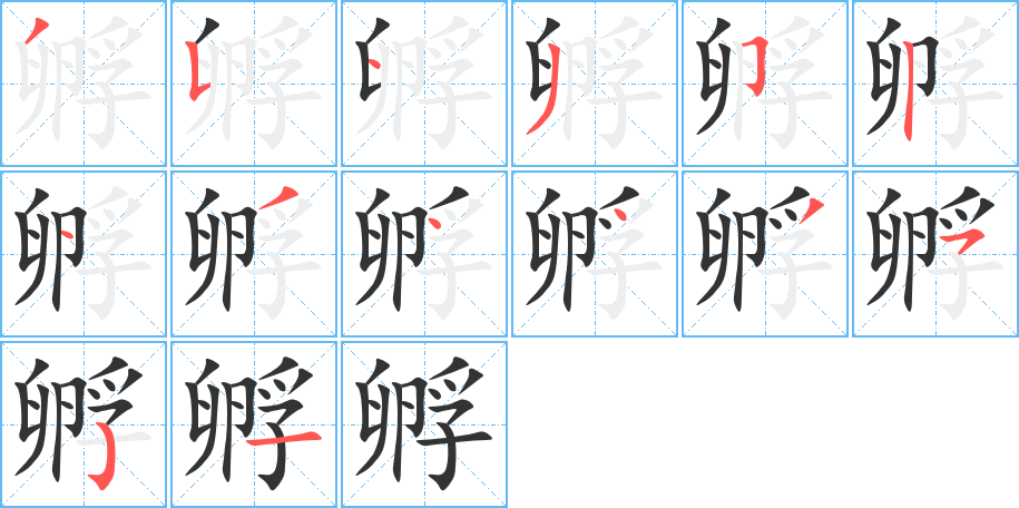 孵字的笔顺分布演示