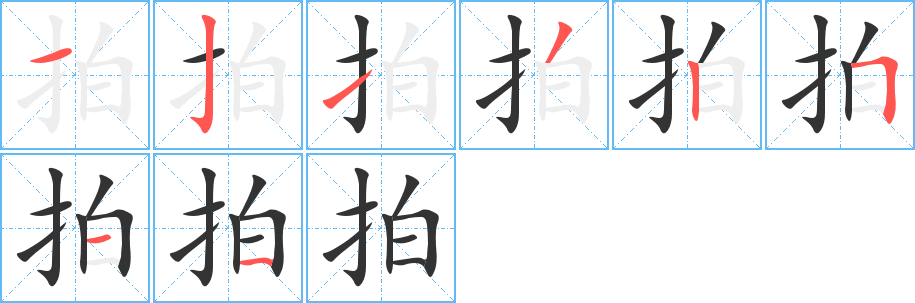 拍字的笔顺分布演示