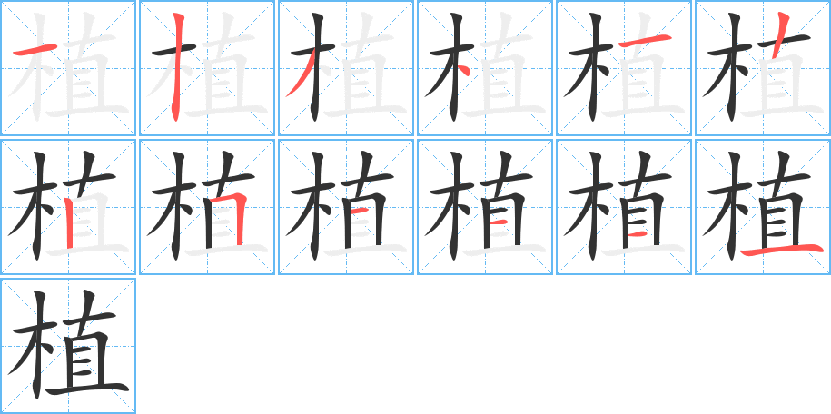 植字的笔顺分布演示