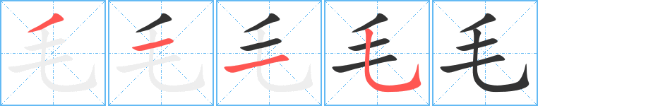 毛字的笔顺分布演示