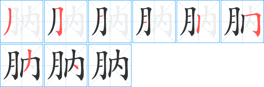 肭字的笔顺分布演示