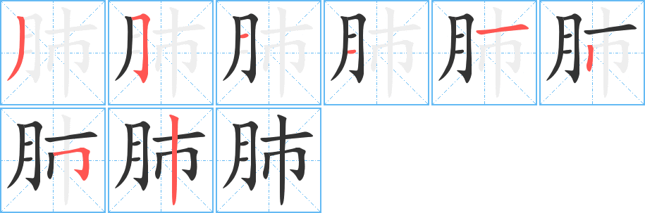 肺字的笔顺分布演示