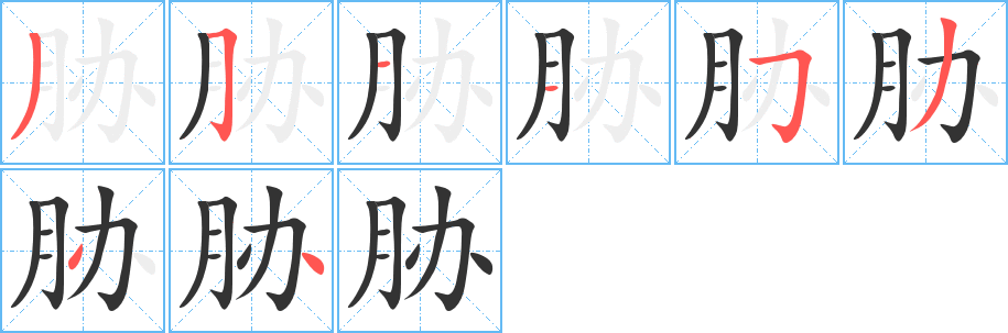 胁字的笔顺分布演示