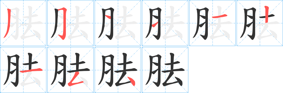 胠字的笔顺分布演示