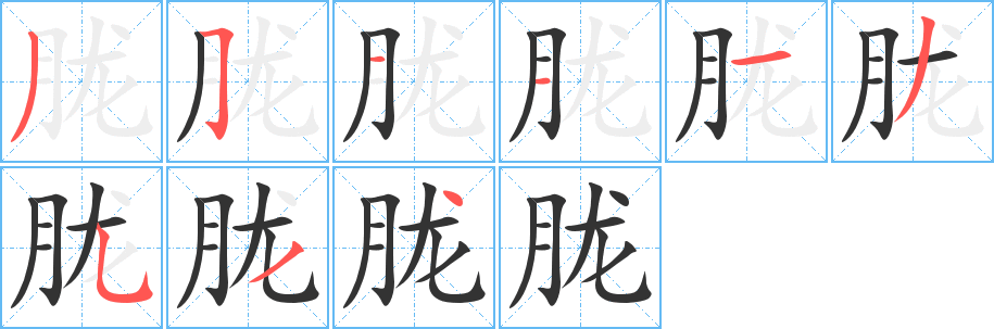 胧字的笔顺分布演示