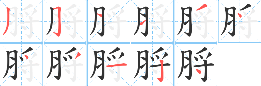 脟字的笔顺分布演示