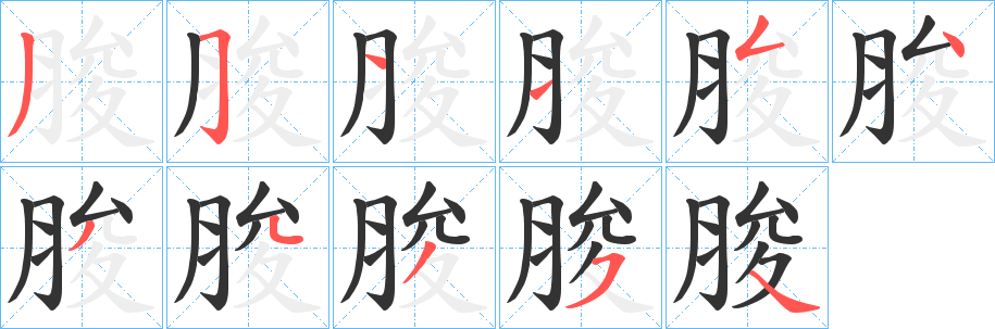 脧字的笔顺分布演示