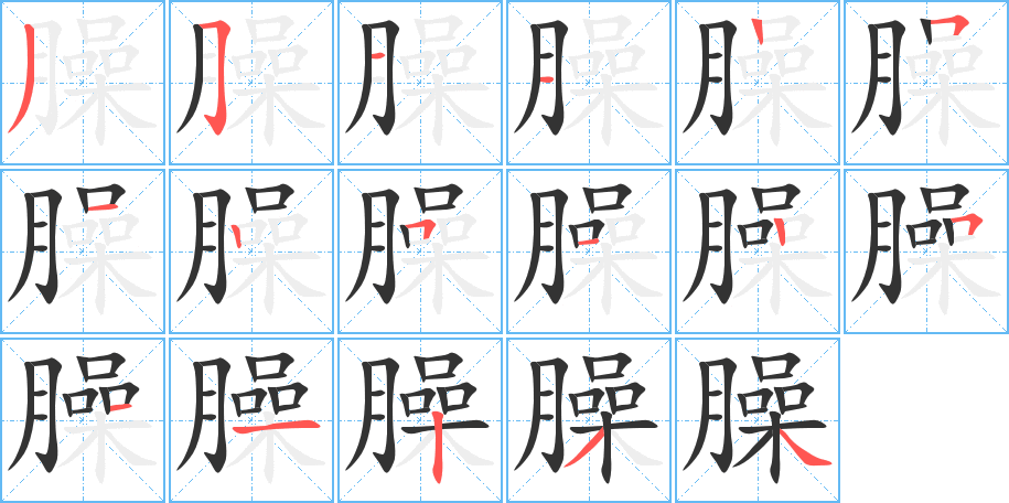 臊字的笔顺分布演示