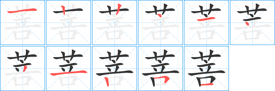 菩字的笔顺分布演示