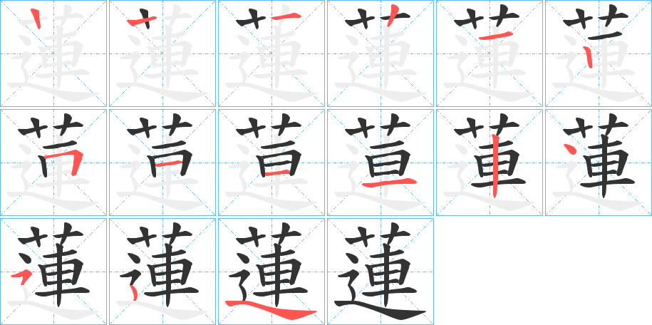 蓮字的笔顺分布演示