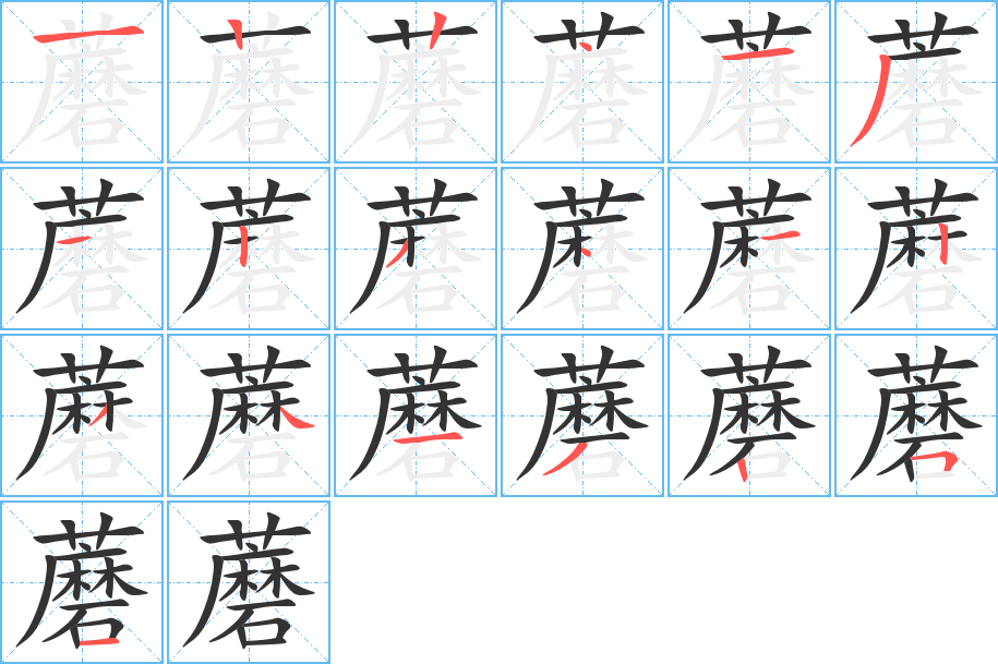 蘑字的笔顺分布演示