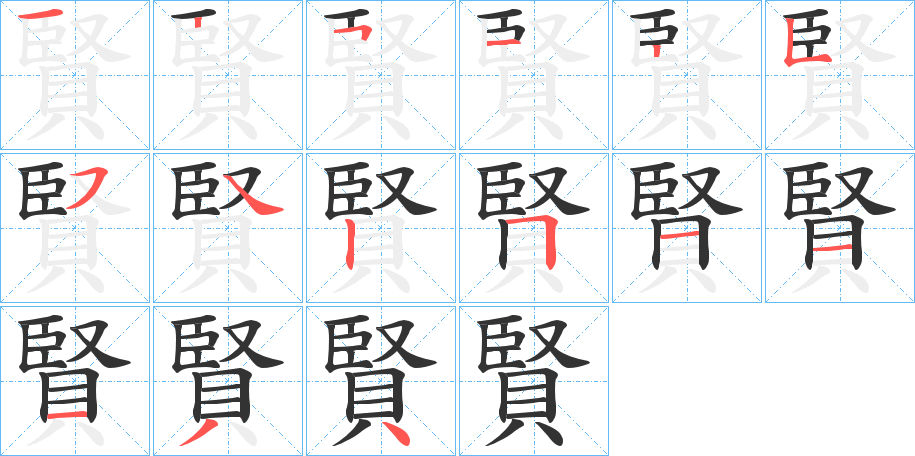 賢字的笔顺分布演示