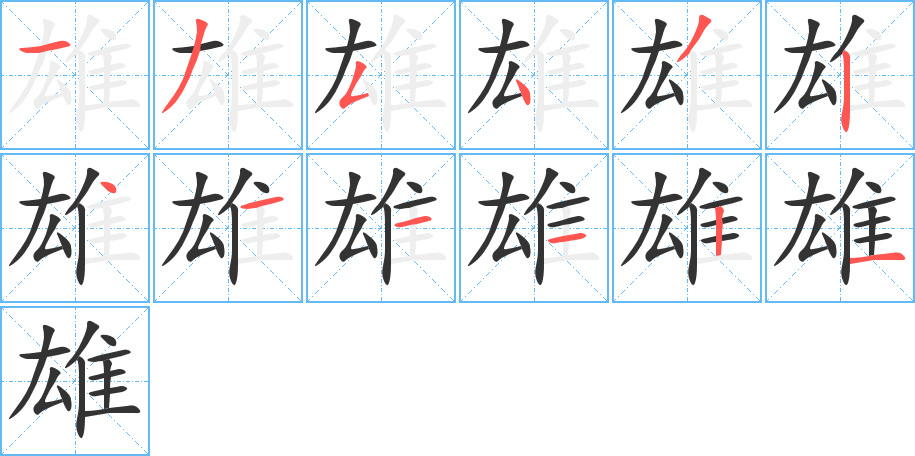 雄字的笔顺分布演示