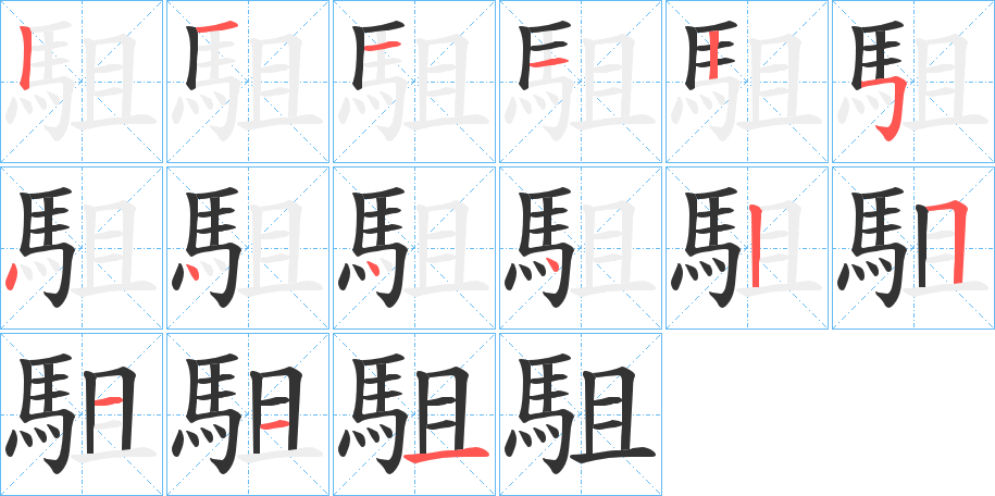 駔字的笔顺分布演示