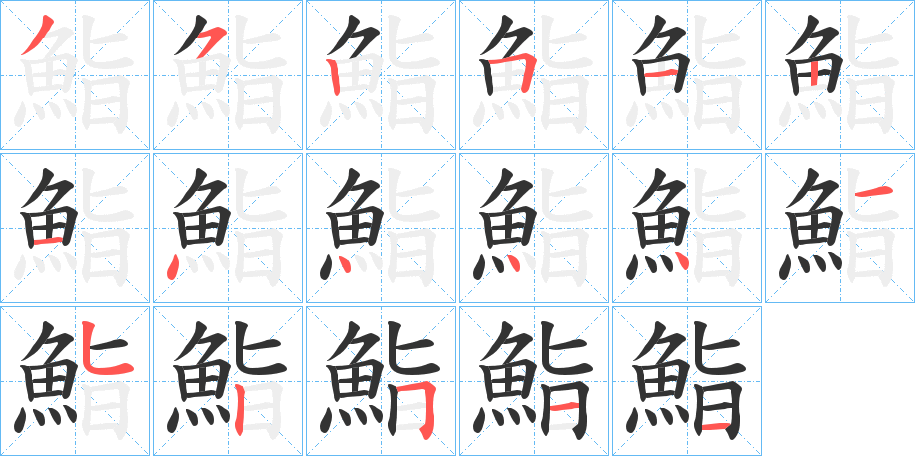 鮨字的笔顺分布演示