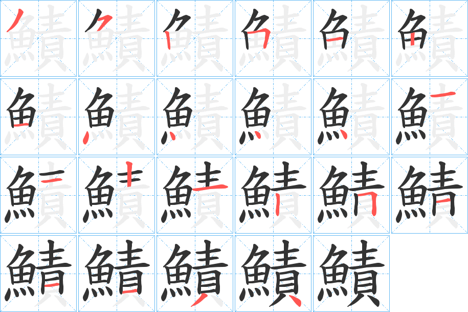 鰿字的笔顺分布演示