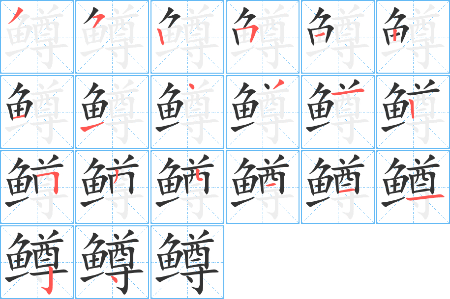 鳟字的笔顺分布演示