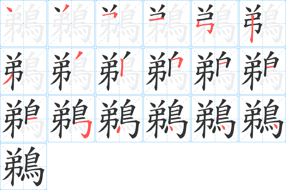 鵜字的笔顺分布演示