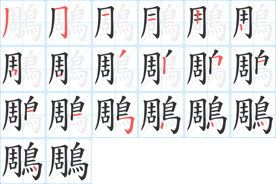 鵰字的笔顺分布演示