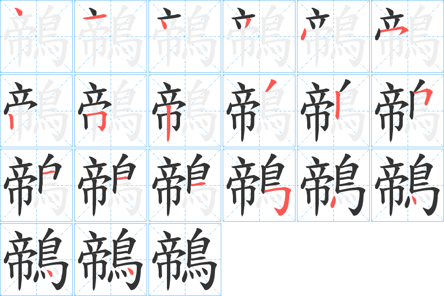 鶙字的笔顺分布演示