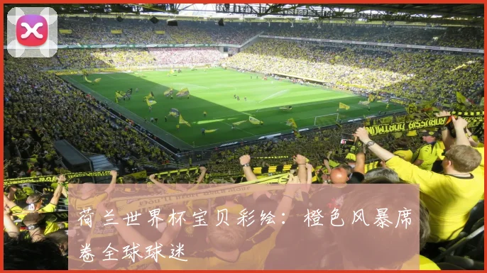 荷兰世界杯宝贝彩绘：橙色风暴席卷全球球迷