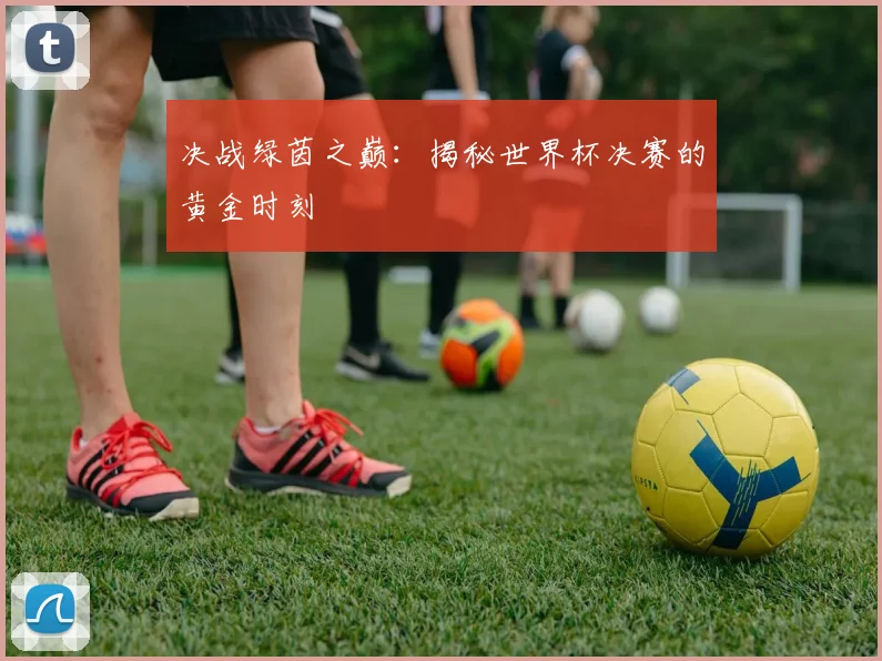 决战绿茵之巅：揭秘世界杯决赛的黄金时刻