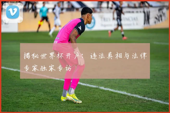 揭秘世界杯开户：违法真相与法律专家独家专访