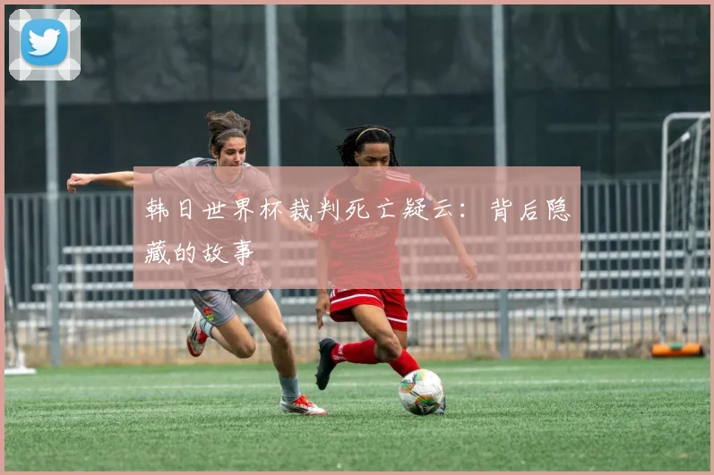 韩日世界杯裁判死亡疑云：背后隐藏的故事