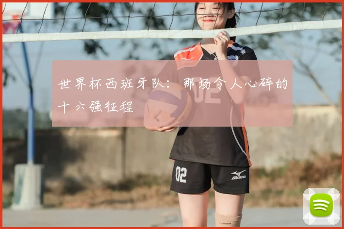 世界杯西班牙队:那场令人心碎的十六强征程