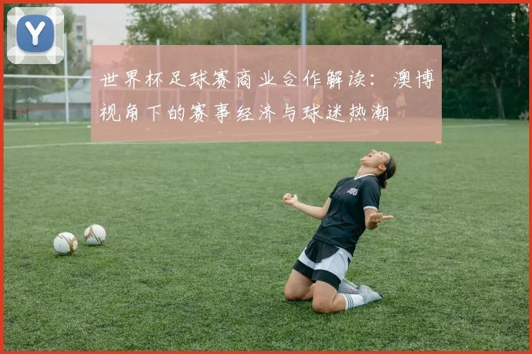 世界杯足球赛商业合作解读：澳博视角下的赛事经济与球迷热潮